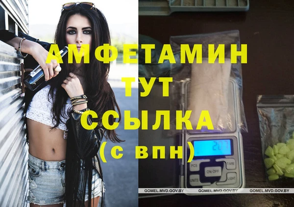 стафф Алексин