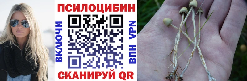Купить  Абакан  Галлюциногенные грибы GOLDEN TEACHER 